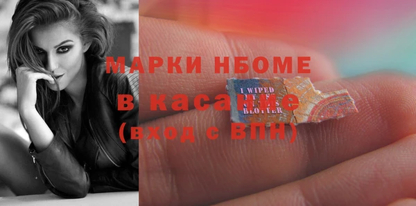 индика Алексин