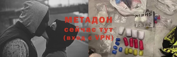 индика Алексин