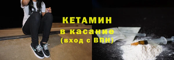 индика Алексин