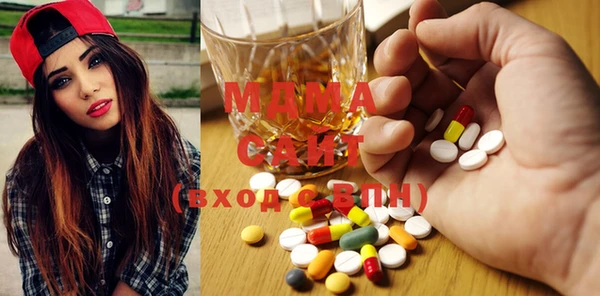 индика Алексин