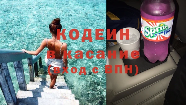 индика Алексин