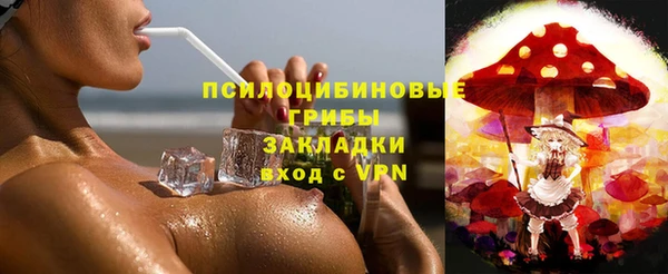 индика Алексин