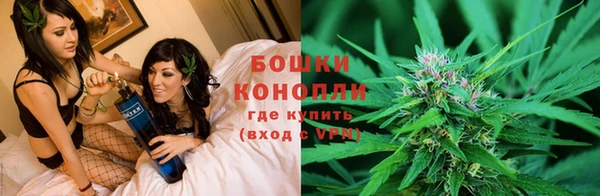 дурь Алексеевка