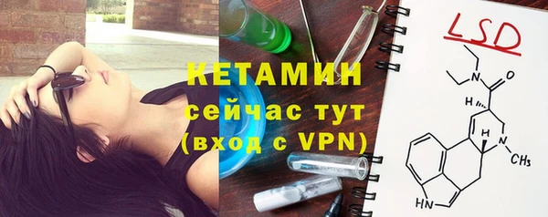 индика Алексин