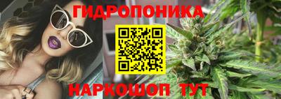 apvp Обь
