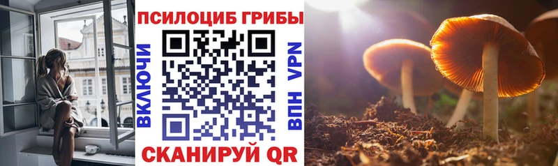 где купить наркоту  OMG онион  Галлюциногенные грибы мухоморы  Чистополь 