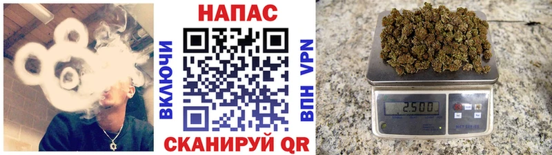 Бошки марихуана план  купить наркоту  Чистополь 
